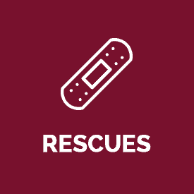 rescues