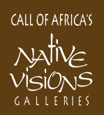Native Visions Logo